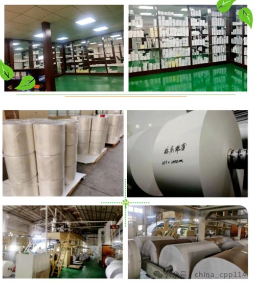 產品推薦 不干膠材料 華盛合成易碎紙