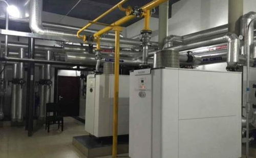 康丹森冷凝鍋爐項目改造工程案例 中國中煙延安 市 卷煙廠
