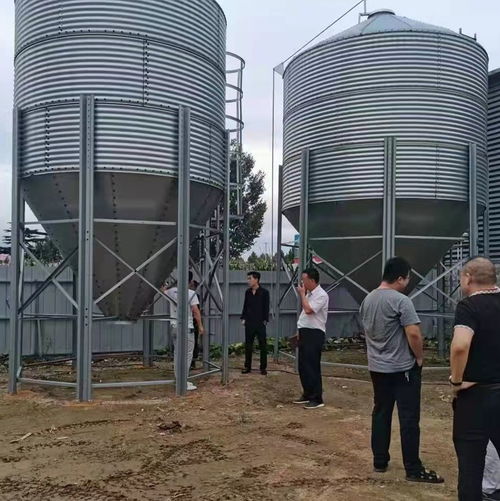畜牧鍍鋅板養豬場10噸料塔