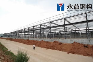 鋼結(jié)構(gòu)廠房保養(yǎng),鋼結(jié)構(gòu)廠房怎么保養(yǎng)