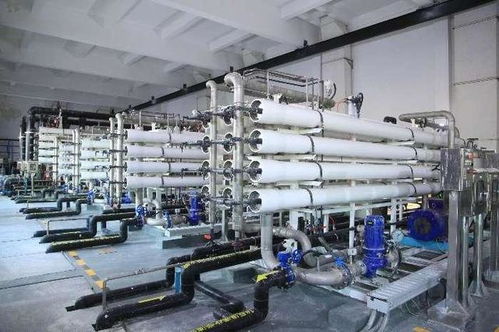上海排水之最丨上海最大的污水處理廠